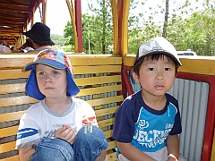 2011-10 Port Douglas